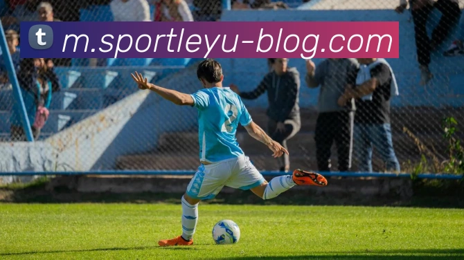 乐鱼体育发展历程