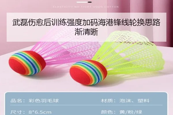 武磊伤愈后训练强度加码海港锋线轮换思路渐清晰（Leyu）